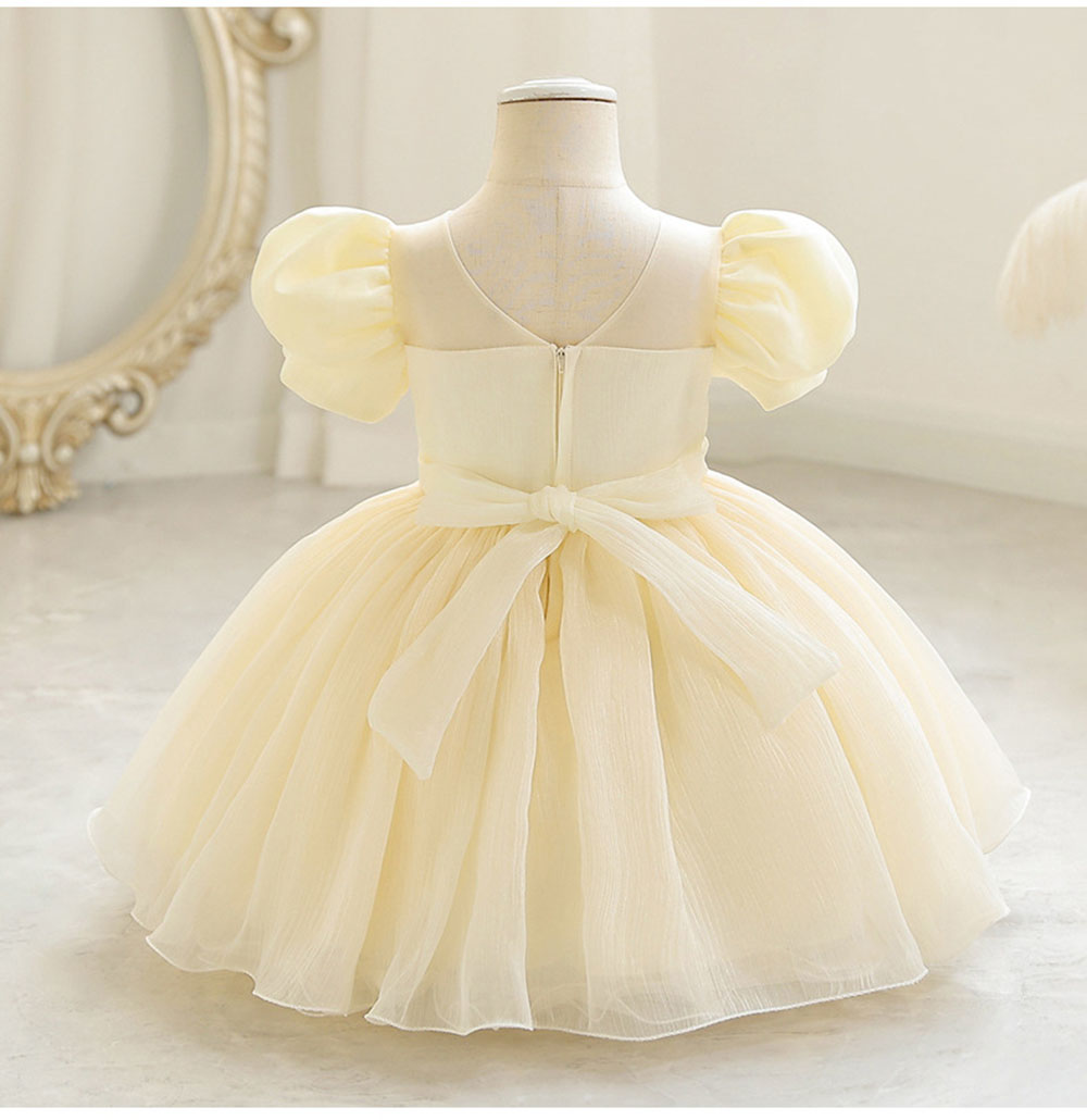 Puffy Mesh Princess Dress for  - Baby Clothing Bundles review and price