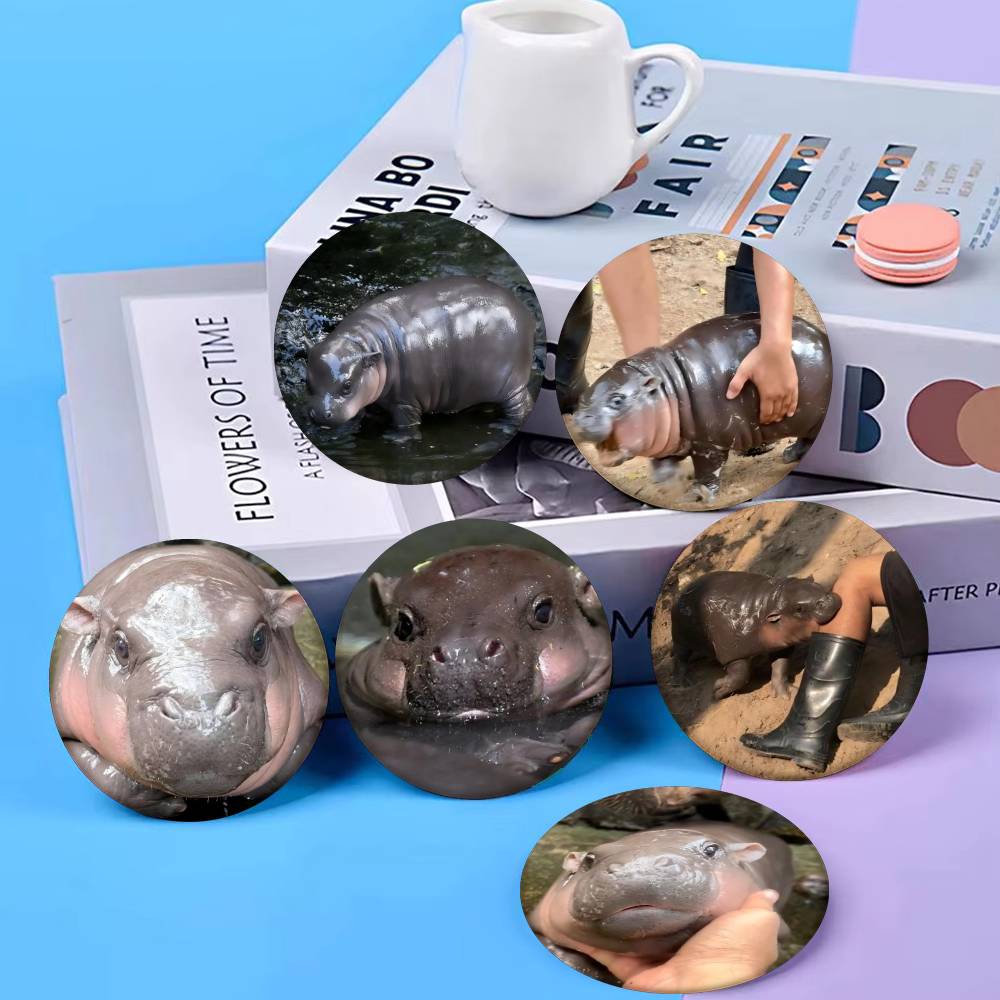 Baby Hippo Moo Deng Badge Tinp - Baby Clothing Japan review and price
